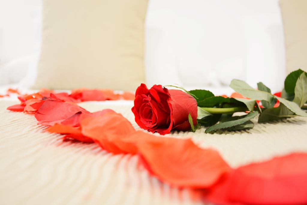 La Pasajera Hostal Boutique كونيل ذي لا فرونتيرا المظهر الخارجي الصورة